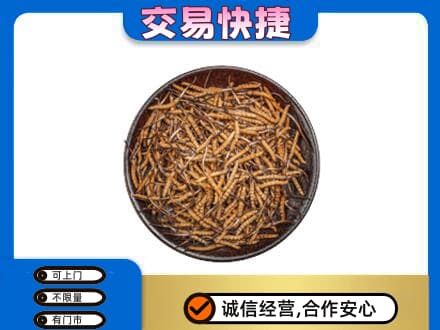 邢台市宁晋回收散虫草